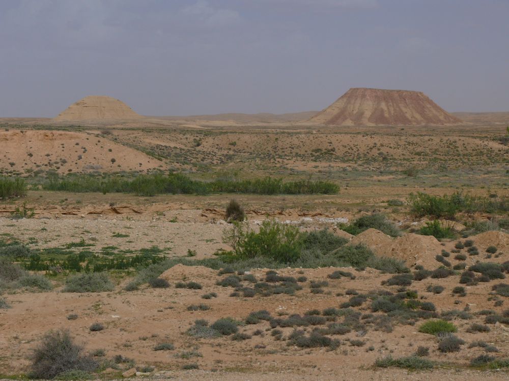P1010056.JPG