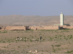 P1010070.JPG