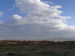 P1010076.JPG