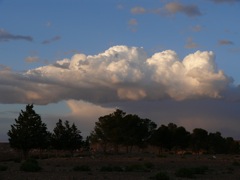 P1010084.JPG