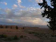 P1010085.JPG