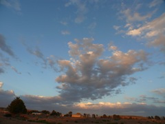 P1010091.JPG