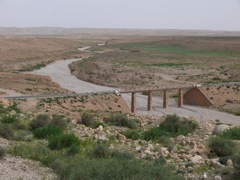 P1010055.JPG