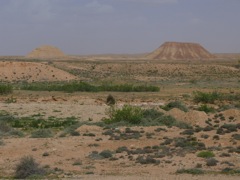 P1010056.JPG