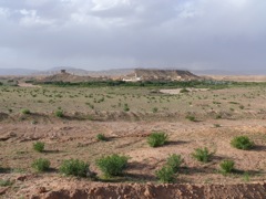 P1010067.JPG