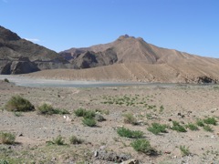 P1010095.JPG