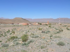 P1010097.JPG