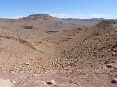 P1010126.JPG