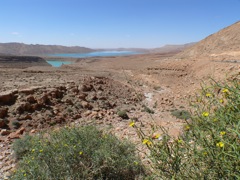 P1010128.JPG