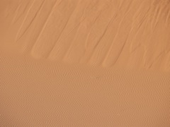 P1010203.JPG