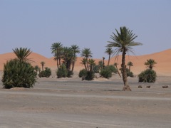 P1010161.JPG