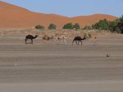P1010164.JPG