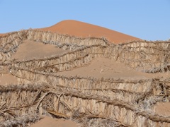 P1010166.JPG