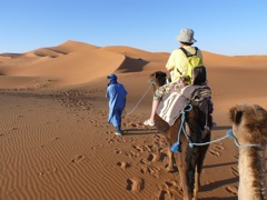 P1010314.JPG