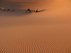 P1010349.JPG