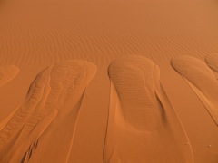 P1010351.JPG
