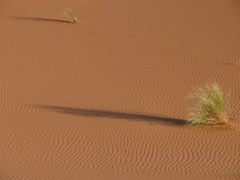 P1010374.JPG