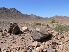 P1010412.JPG