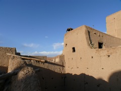 P1010429.JPG