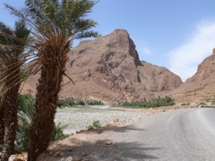 P1010453.JPG