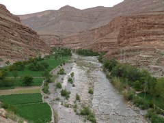 P1010465.JPG