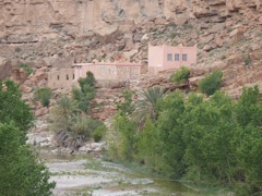 P1010466.JPG