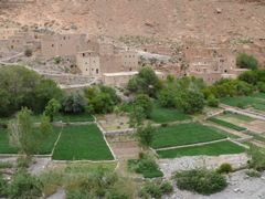P1010467.JPG