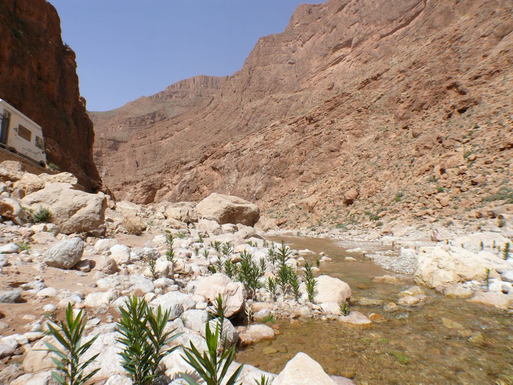 P1010514.JPG