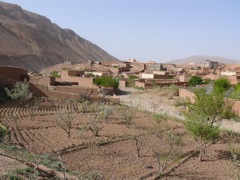 P1010475.JPG