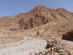P1010510.JPG