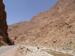 P1010513.JPG