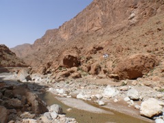 P1010520.JPG