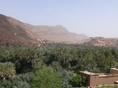 P1010524.JPG