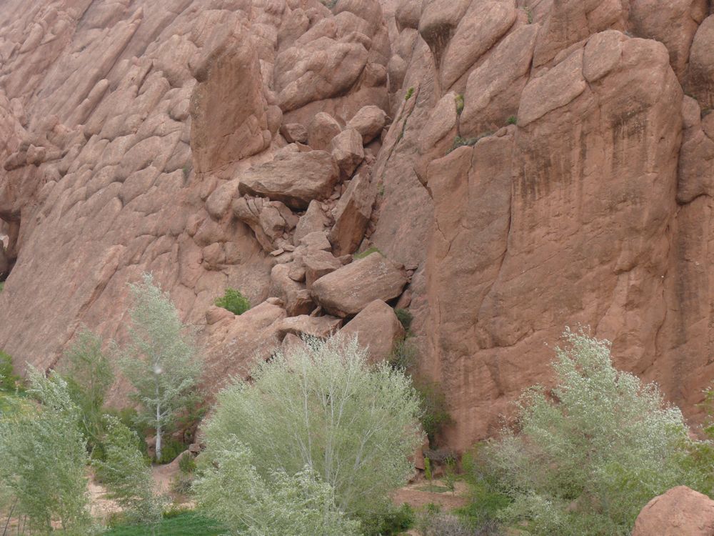 P1010554.JPG