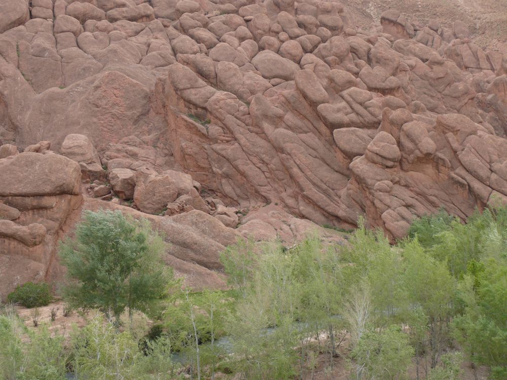 P1010556.JPG