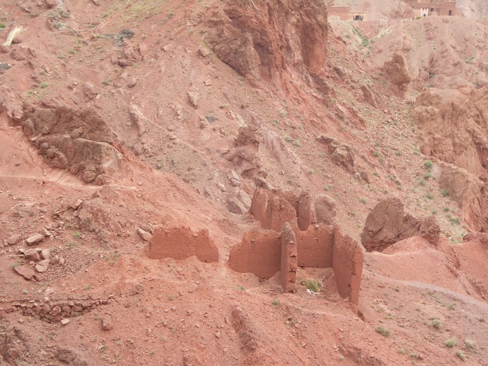 PICT2967.JPG