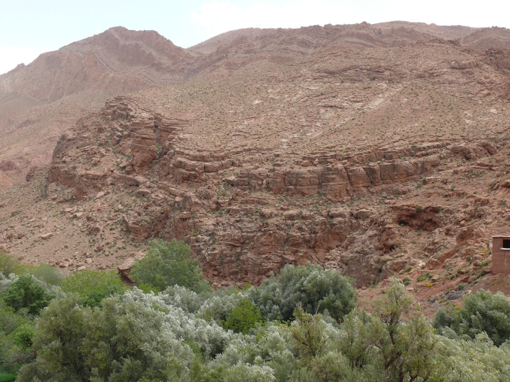P1010543.JPG