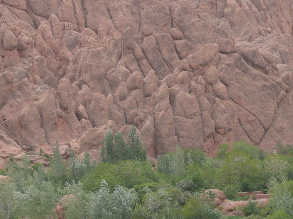 P1010548.JPG
