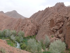 P1010553.JPG