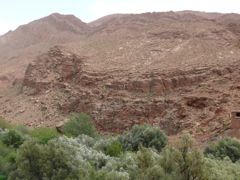P1010543.JPG