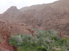 P1010545.JPG