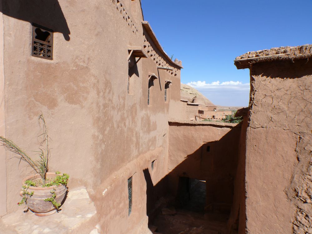 P1010674.JPG
