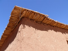 P1010625.JPG