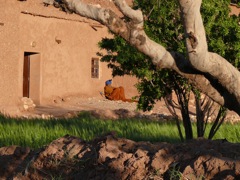 P1010715.JPG