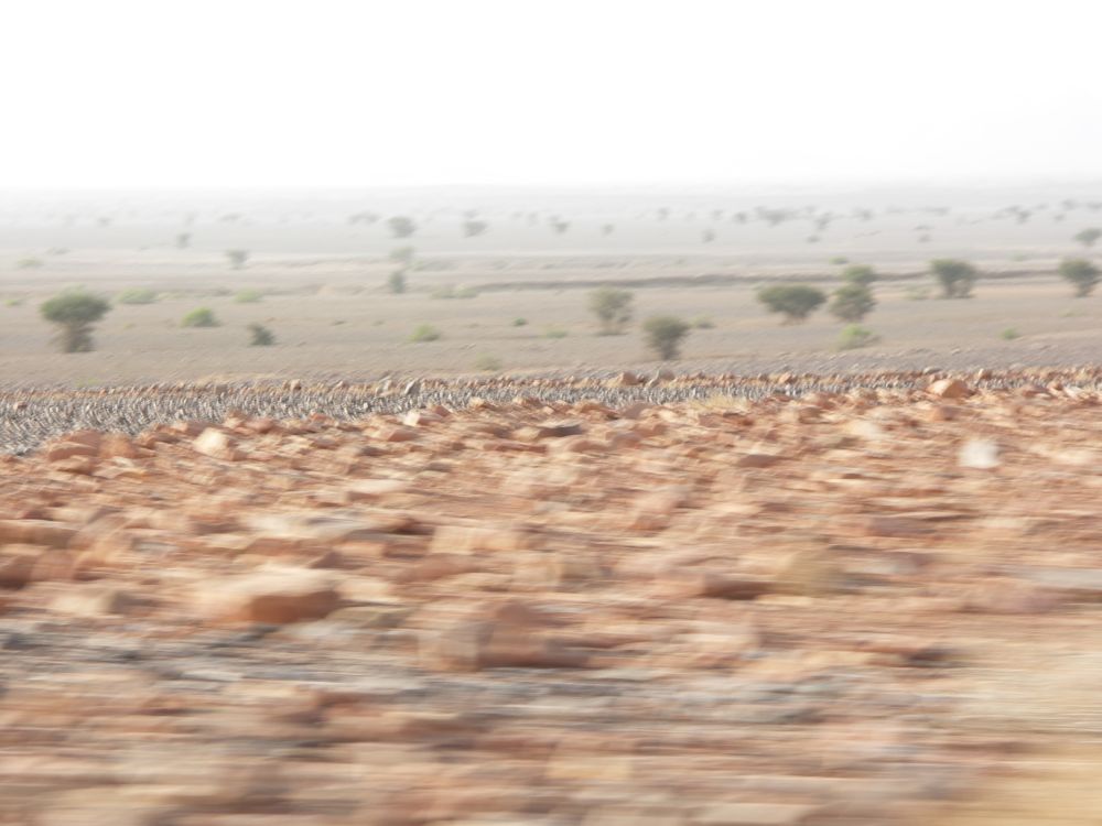 PICT3025.JPG