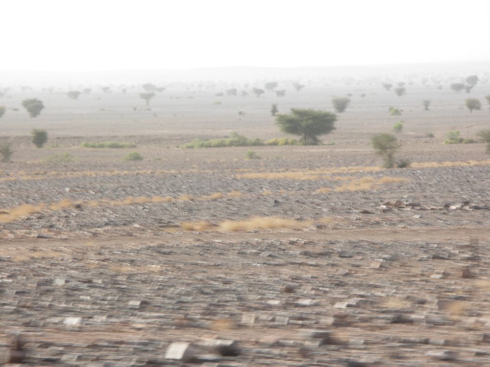 PICT3027.JPG