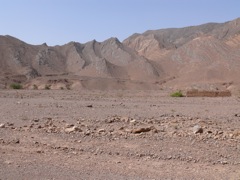 P1010807.JPG