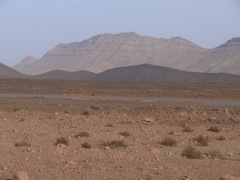 P1010813.JPG