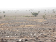 PICT3027.JPG