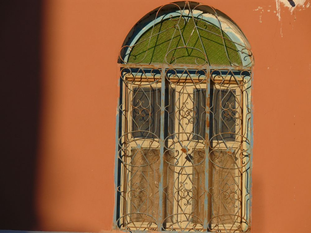 P1010839.JPG